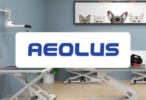Aeolus logo – Groom Curriculum equipment partner for grooming salons and training programs