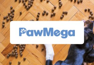 Aeolus logo – Groom Curriculum equipment partner for grooming salons and training programs