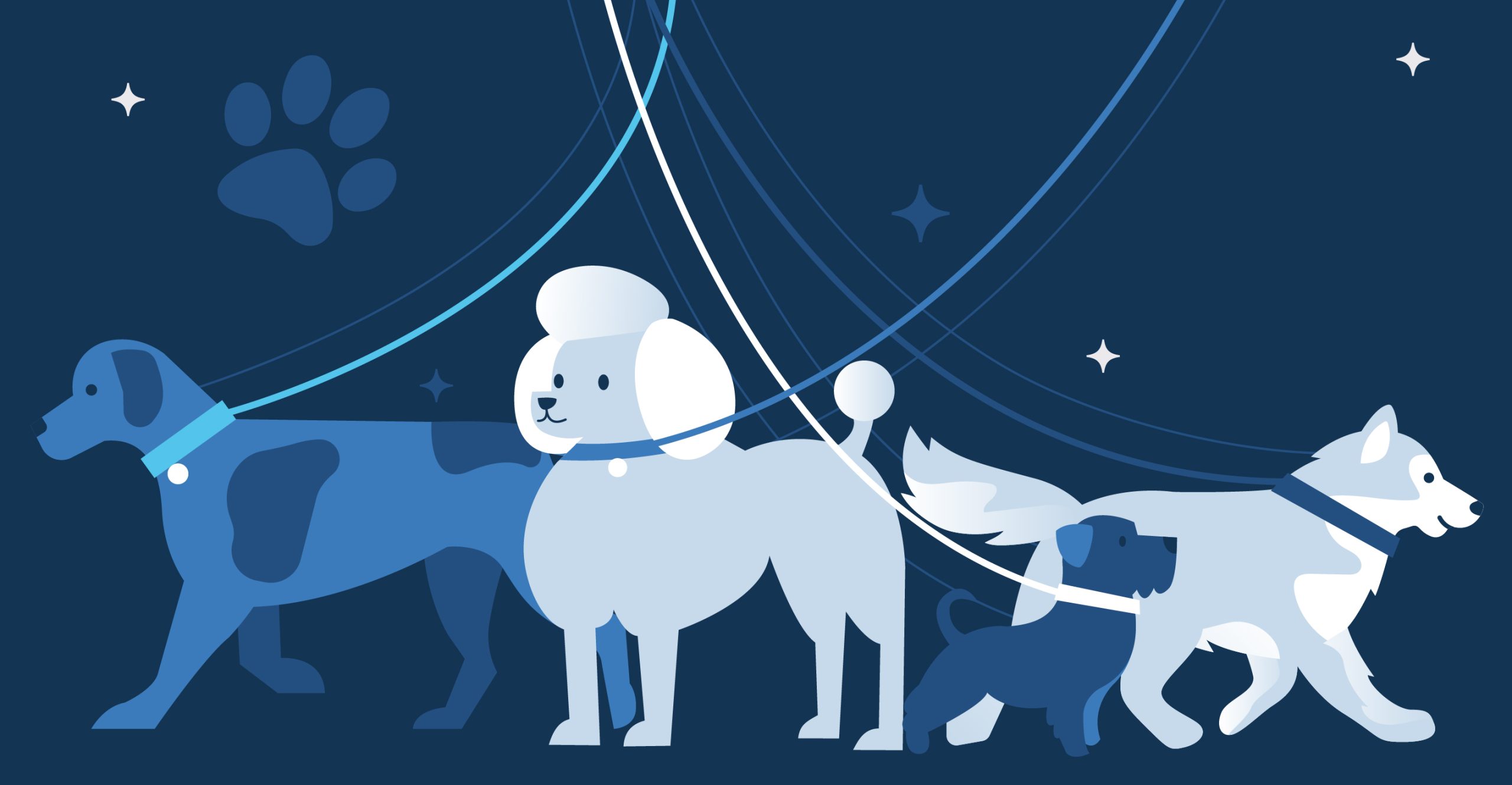 Ilustration of dogs on leashes under stars representing In/Out of My Control grooming article