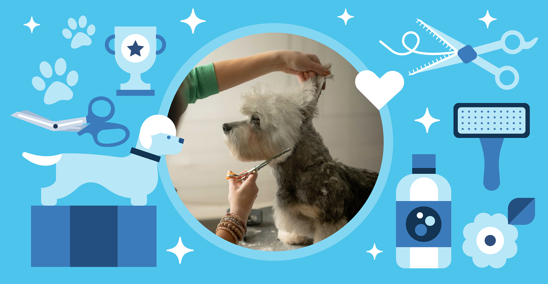 Groomer holding white dog during training demonstration representing The Ultimate Guide to Grooming Education article