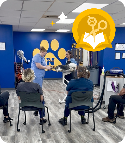 Dog grooming classroom with students learning through hands-on instruction