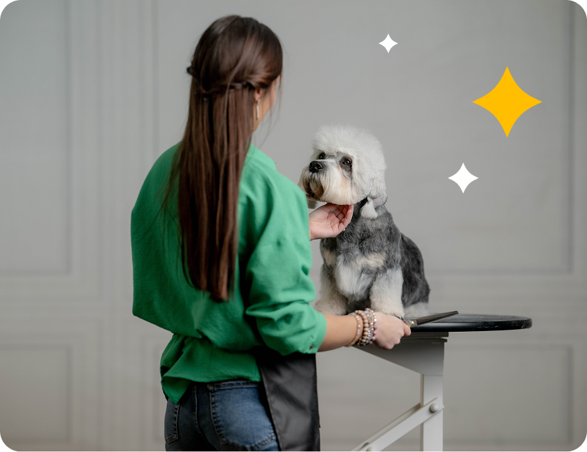 Grooming instructor teaching salon training techniques with a small white dog on grooming table