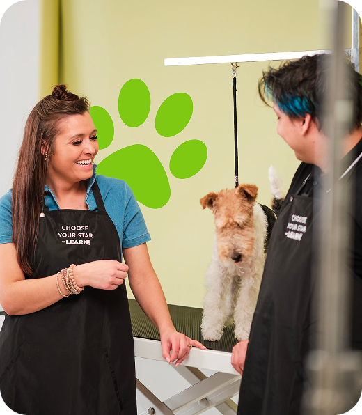 Grooming instructors demonstrating techniques with a dog in a training salon