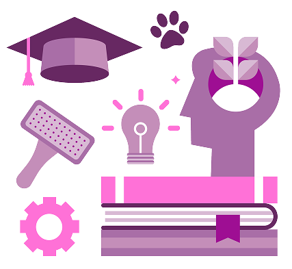 college partnership program