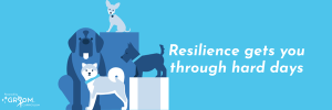 Resilience gets you through hard days