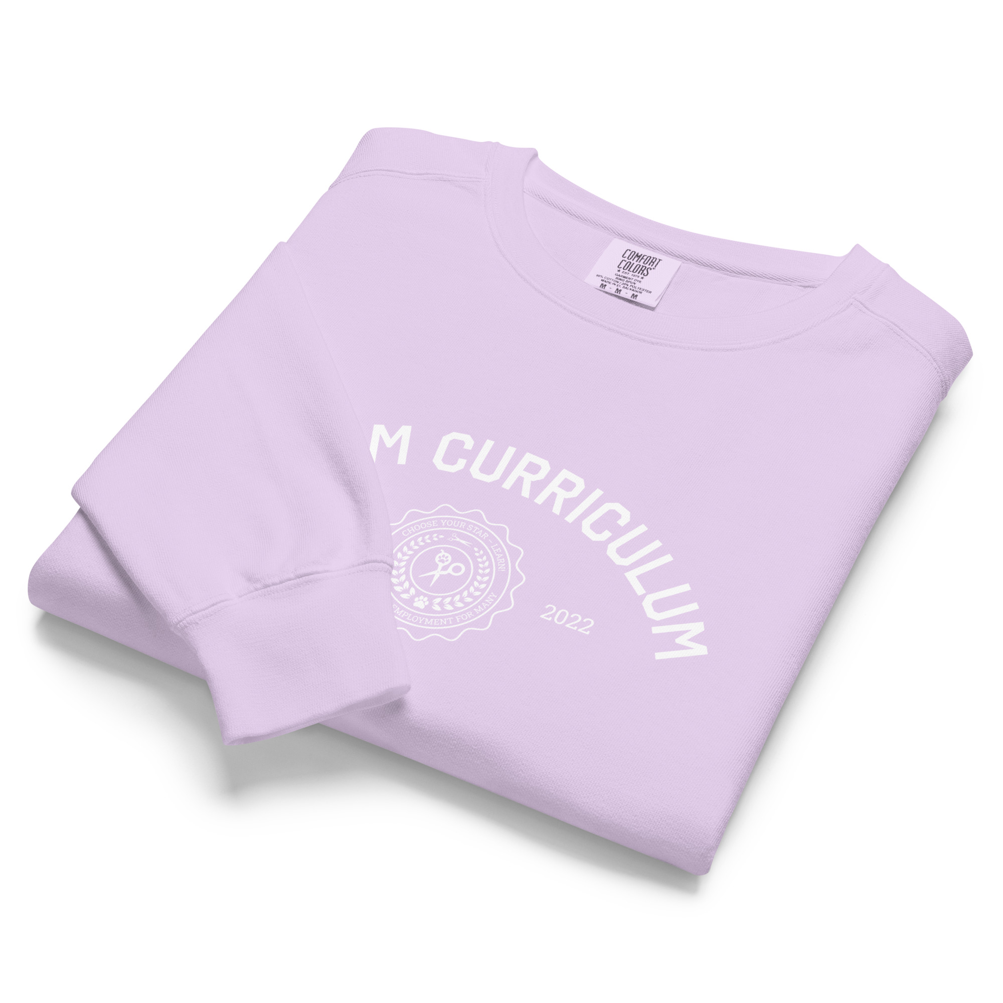 Groom Curriculum Collegiate Crewneck - Image 8