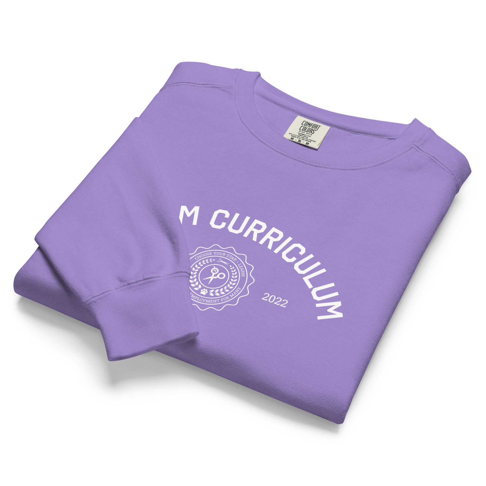 Groom Curriculum Collegiate Crewneck - Image 6